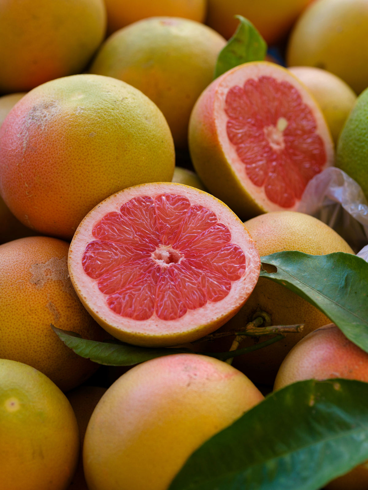 Grapefruit Essential Oil 10ml